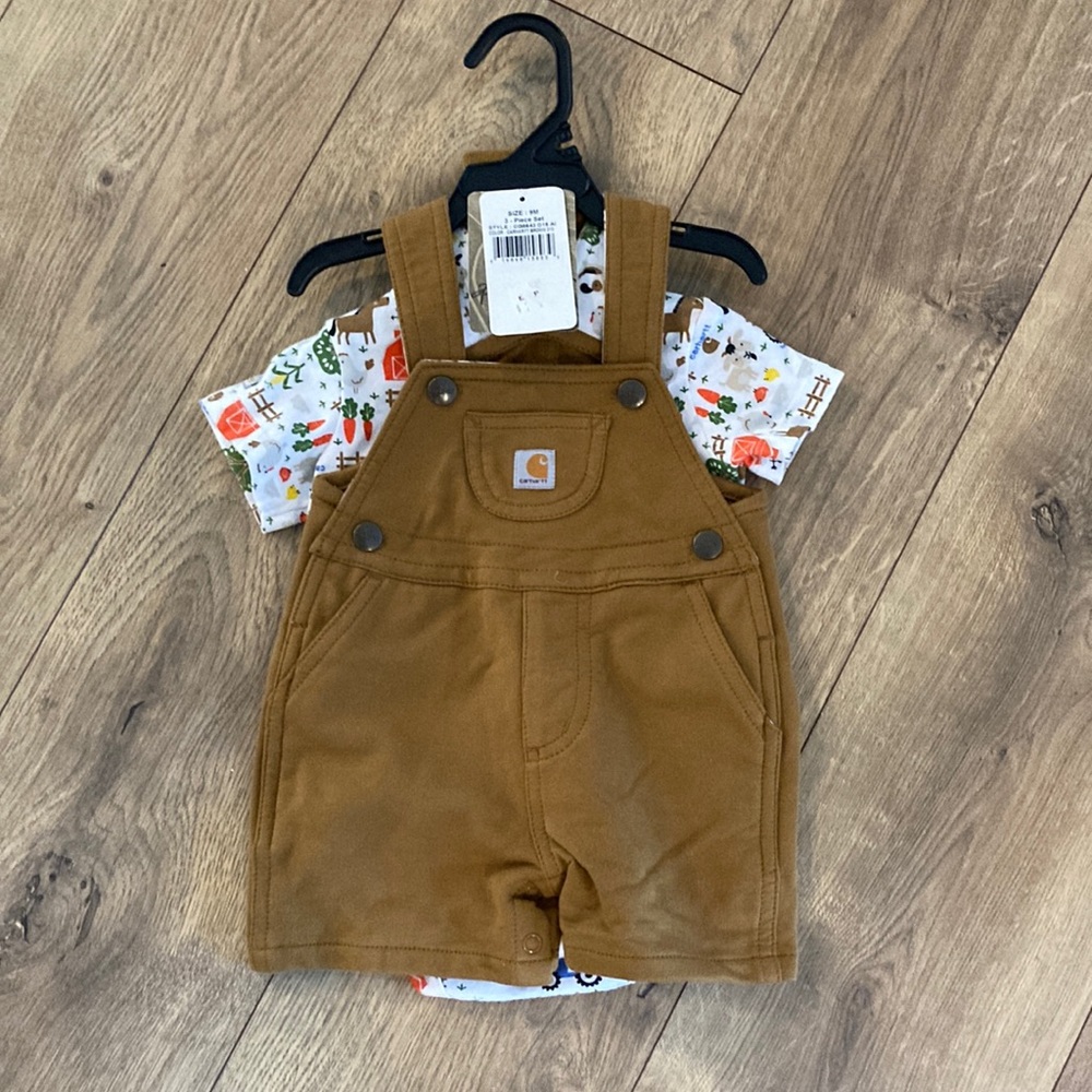 Carhartt Overall Outfit